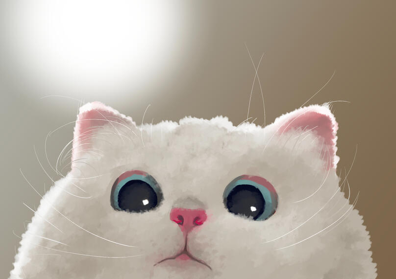 White Cat (study)